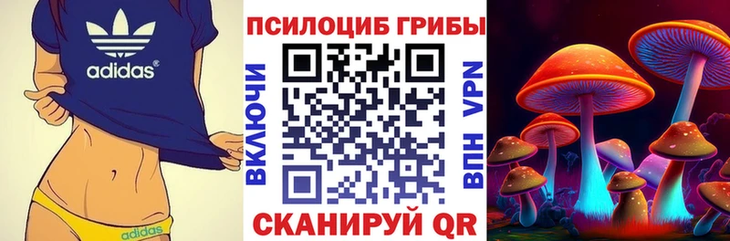 Псилоцибиновые грибы GOLDEN TEACHER  Козельск 